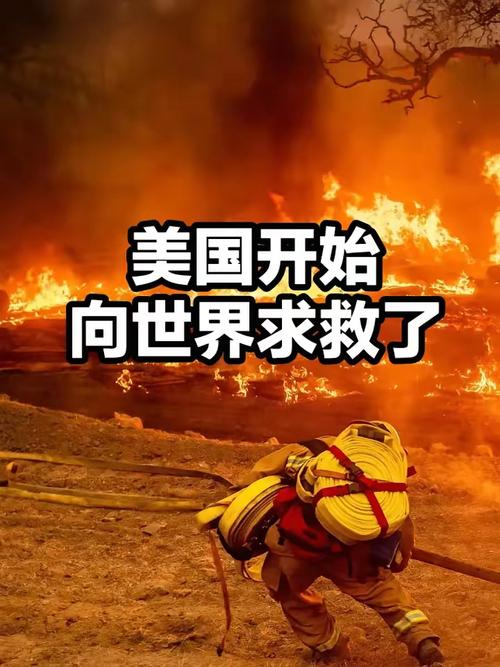 特朗普：将无限期暂停来自“第三世界国家”的移民