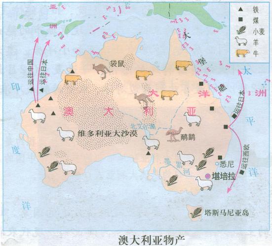 澳大利亚气候变化抗议活动扰乱煤炭港口航运 21 人被捕