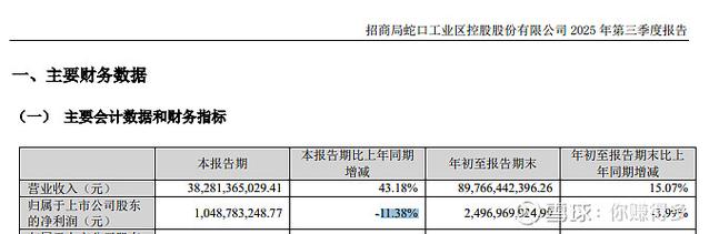 地产利润持续缩水，多家房企发布2025年盈利预警公告