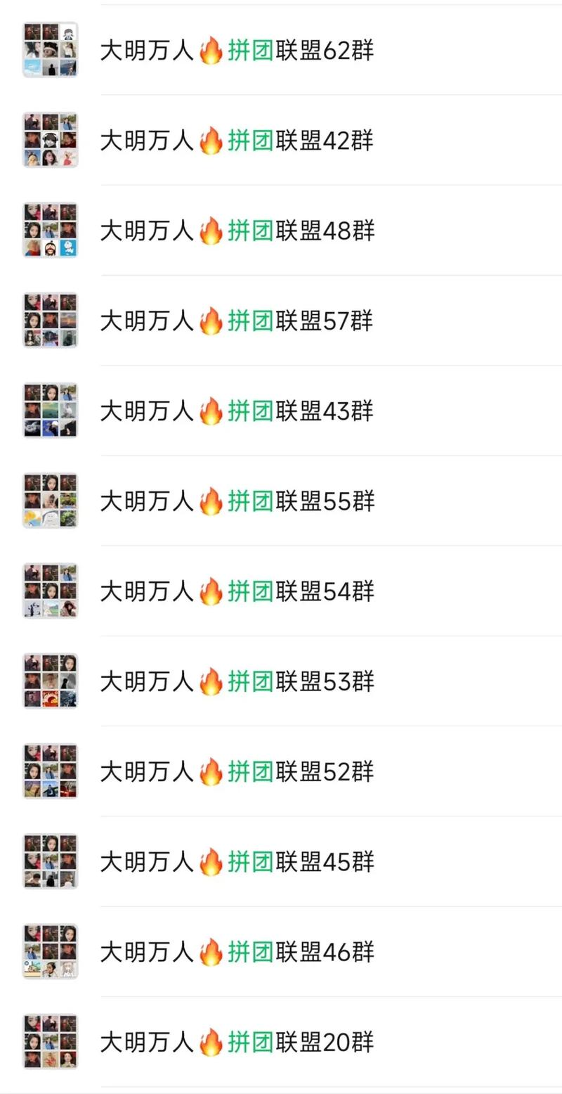 洛阳拼多多助力群 