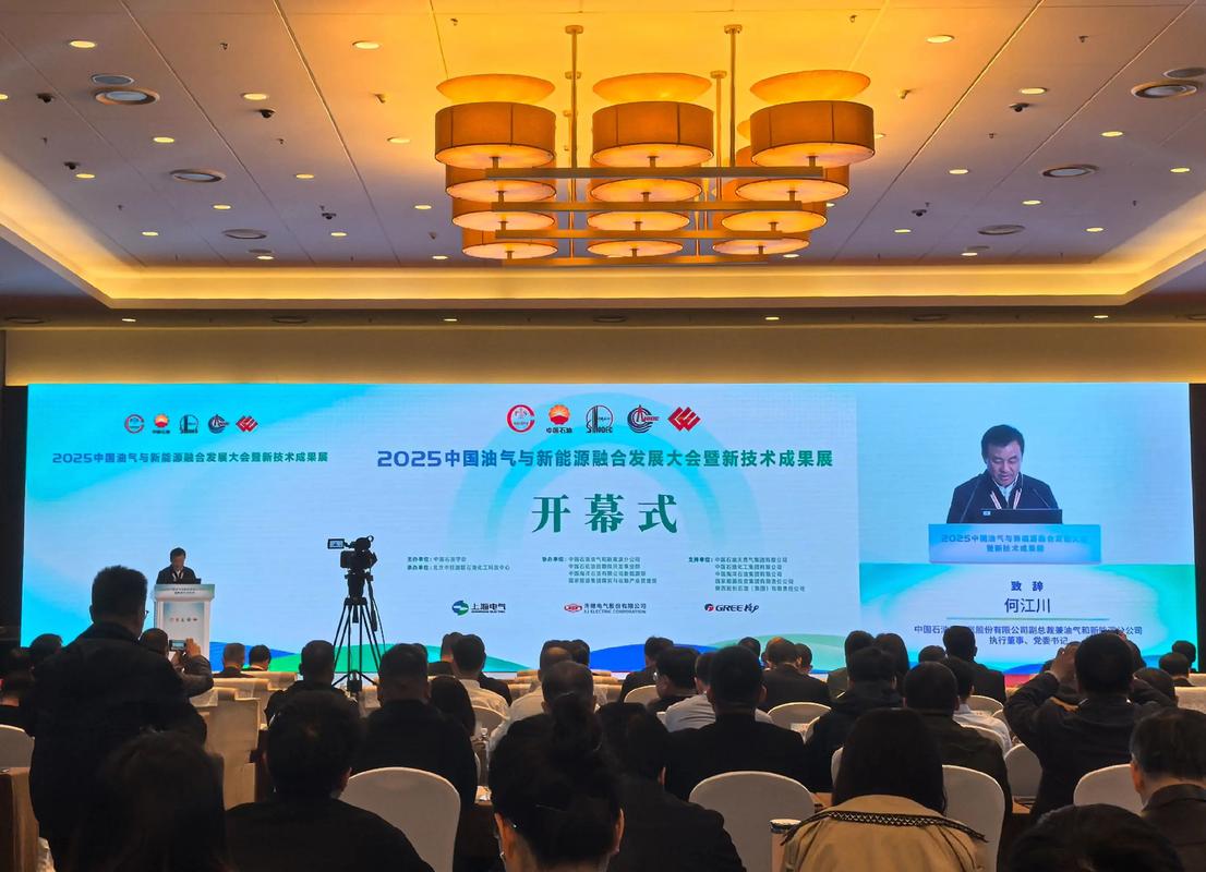 石油业高管在白宫会议上表示：燃料价格可能进一步攀升