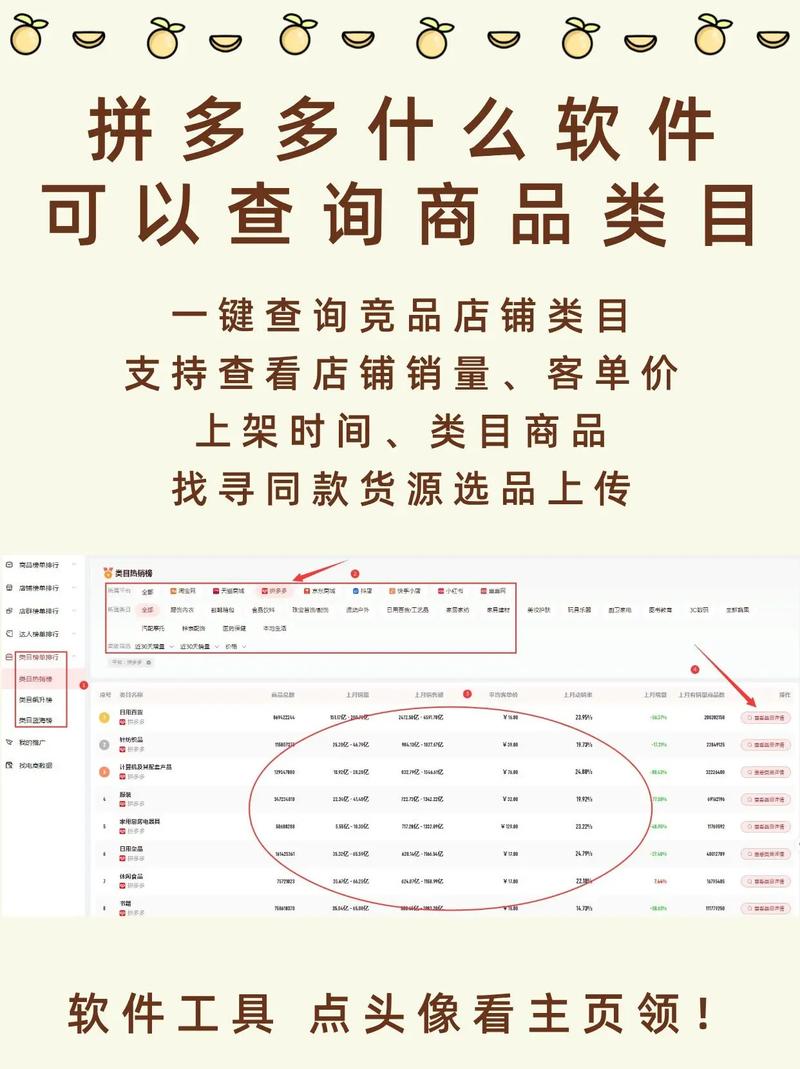 免费查询拼多多类目 