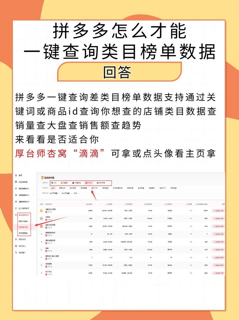 拼多多类目查询 