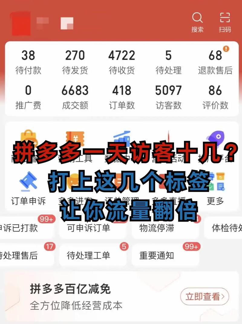 拼多多访客流量软件 