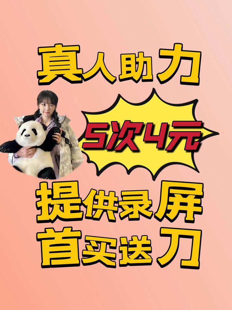 pdd助力代 